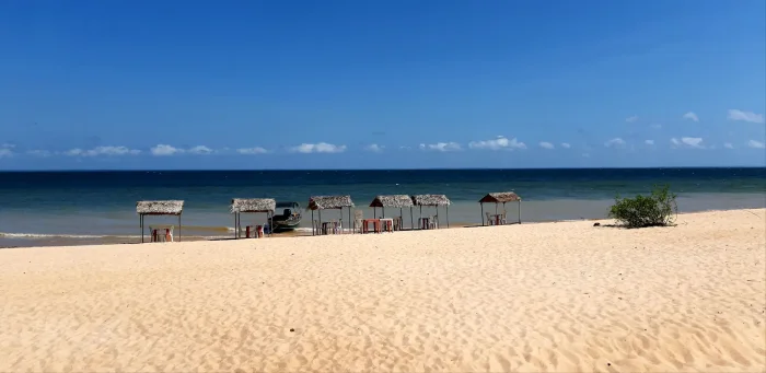 Unir ciência, cultura e turismo em um só lugar